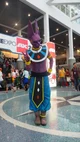 Cosplay Beerus