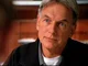 Leroy Jethro Gibbs 