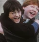 Ron And Harry