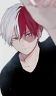 Todoroki Shoto 