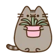Pusheen