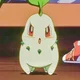 chikorita