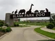 Zoo simulator