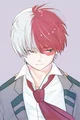 Shoto todoroki