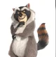 Raccoon