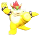 Kung Fu Bowser