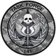 Task Force 141