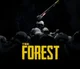 The Forest RP