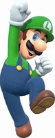 Luigi Clone