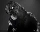 Ghost Godzilla