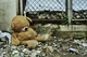 Abandoned Teddybear