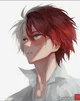 Todoroki Shoto 