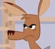 Kangaroo