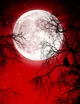 VAMPIRE