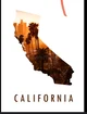 California 