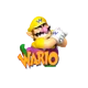 Wario rp accurate 