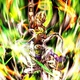 Pikkon  -revival-