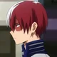 Todoroki shoto 