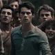 Thomas - Maze Runner