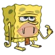 Primitive Sponge