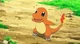 Charmander-Male
