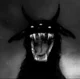 Bot - Rasga vidas