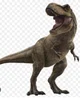 T-REX