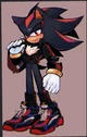 Shadow The Hedgehog