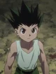 Gon Freecss 