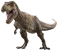 Tyrannosaurus Rex