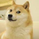 Doge