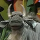 Frankie the Gnu
