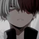 Shoto todoroki