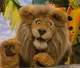 chuck the lion