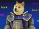 Doge Knight