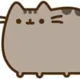 Pusheen