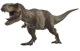 Rexy 