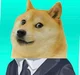 Doge spy