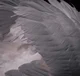 LOVE Cupid