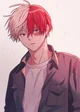 todoroki shoto