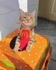 Max mcdonalds worker