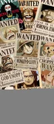 One Piece RPG