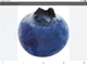 Blueberry