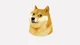 Doge
