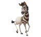 Khumba the zebra