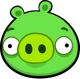 Small Pig