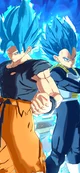 Goku and Vegeta