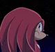 Knuckles The Echidna