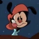 Wakko