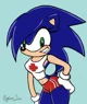 Sonica the Hedgehog